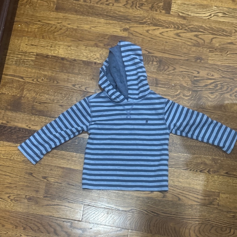 Polo by Ralph Lauren Kids Blue and Gray Striped Hoodie